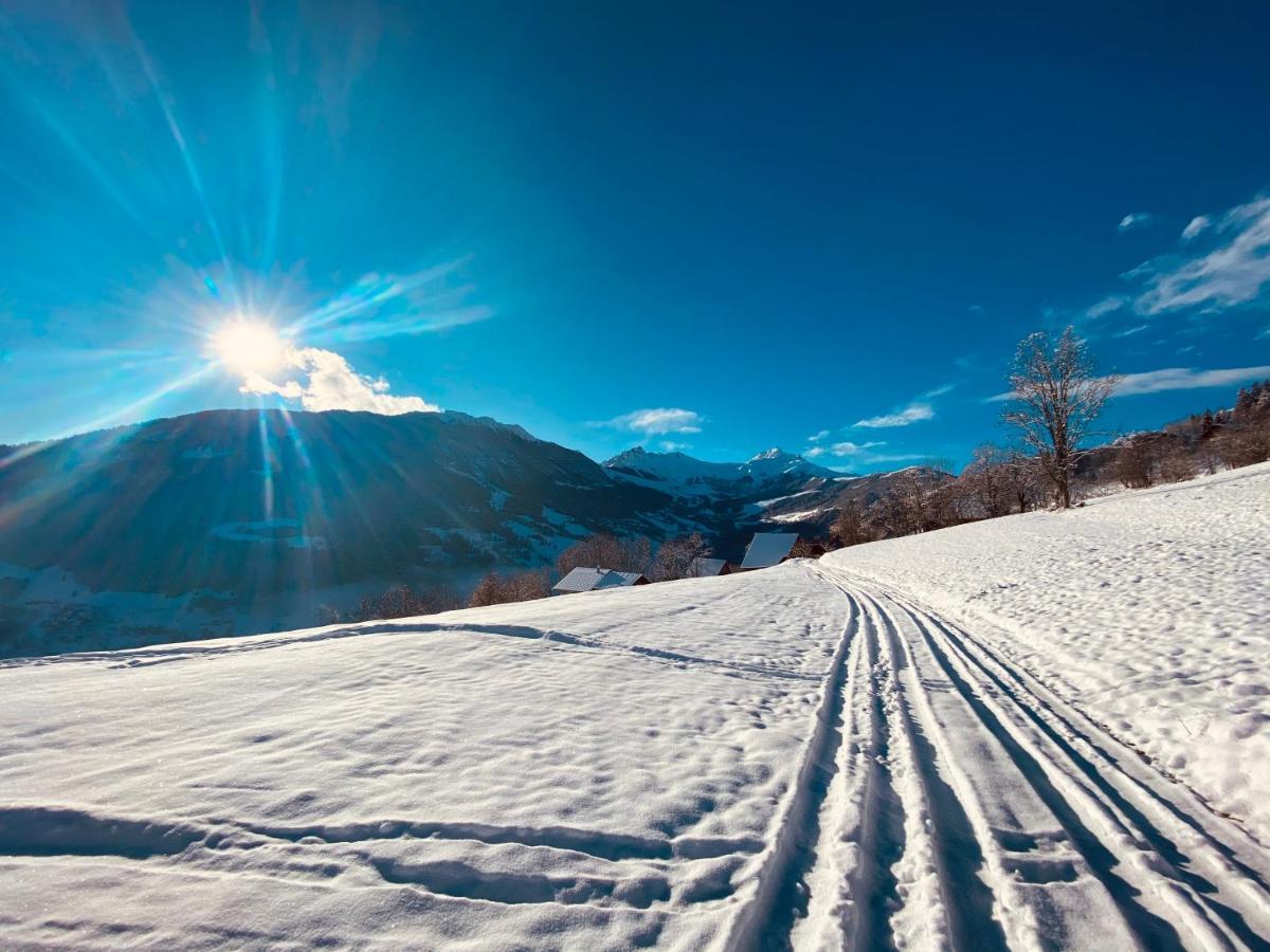 Chalet Confidentiel Valmorel - Chalet De Haut De Gamme 4 Etoiles 12 Personnes Doucy Екстериор снимка
