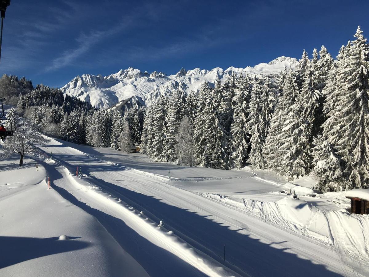 Chalet Confidentiel Valmorel - Chalet De Haut De Gamme 4 Etoiles 12 Personnes Doucy Екстериор снимка