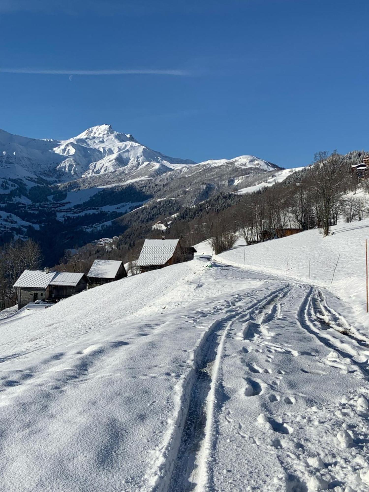 Chalet Confidentiel Valmorel - Chalet De Haut De Gamme 4 Etoiles 12 Personnes Doucy Екстериор снимка