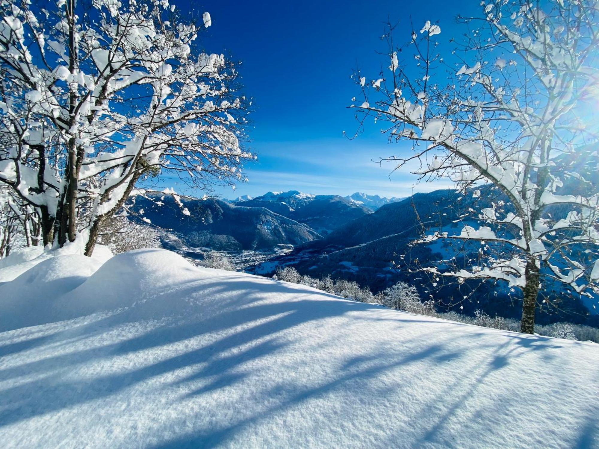 Chalet Confidentiel Valmorel - Chalet De Haut De Gamme 4 Etoiles 12 Personnes Doucy Екстериор снимка